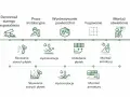 Schemat przebudowy domu: demontaż, instalacje, wyrównanie, fugowanie, montaż oświetlenia, skuwanie płytek, hydroizolacja, układanie płytek, montaż armatury.