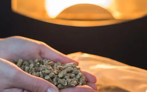 Dłonie trzymające pellet, gotowe do codziennego wygaszania pieca na pellet. Ciepłe światło z paleniska.